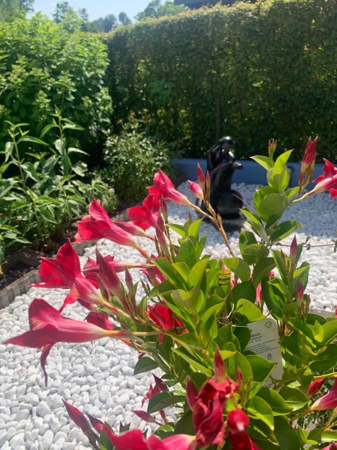 Gaestehaus Am Radweg Blieskastel Eksteriør bilde